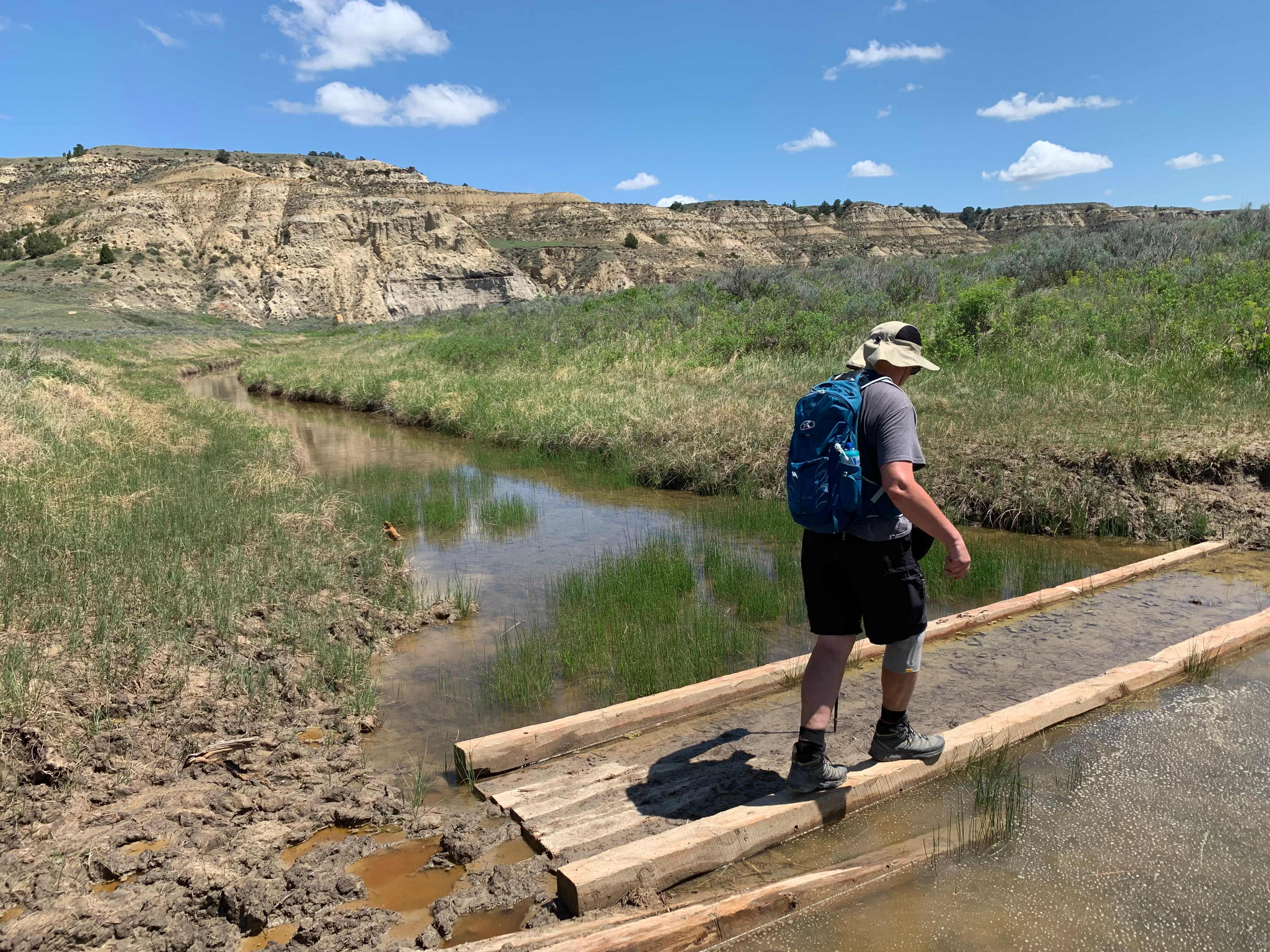 Theodore Roosevelt NP